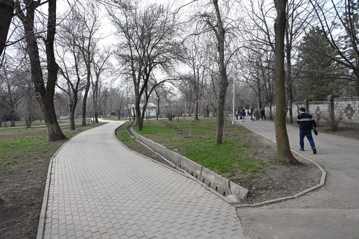 Панорамный вид на Family Park в Алматы, зелёные насаждения и прогулочные дорожки.