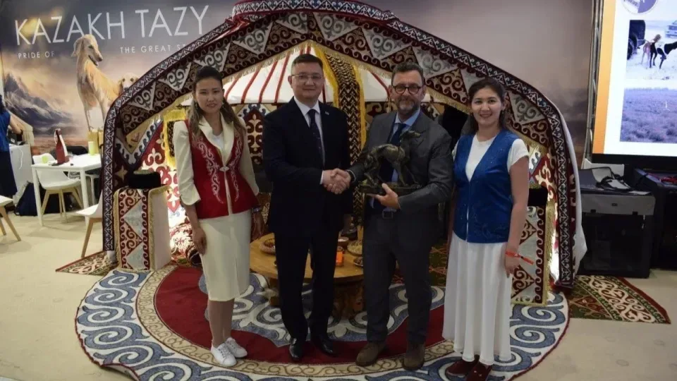Казахский тазы позирует с наградами на международной выставке World Dog Show в Болонье.