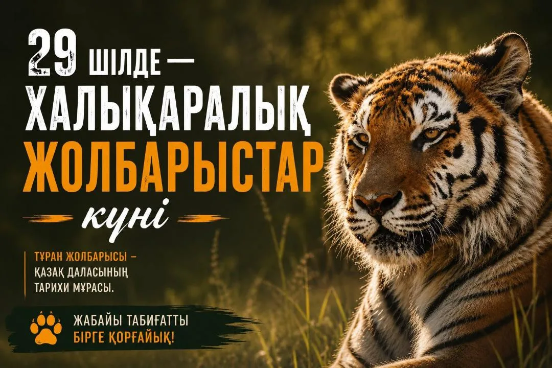 Шесть амурских тигров адаптируются в вольерном комплексе государственного резервата Иле-Балхаш в Жетісу