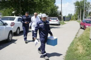 Ветеринар осматривает крупный рогатый скот на одной из новых площадок в Жетісу
