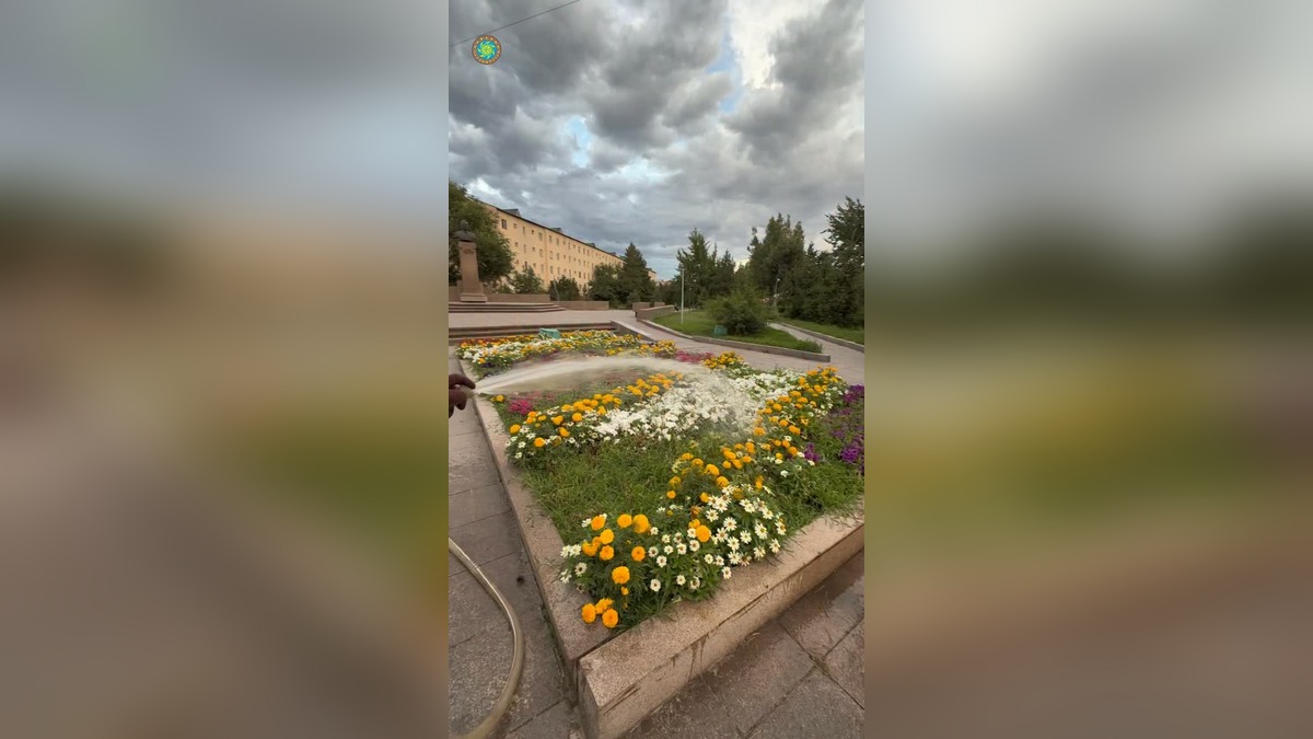 В Талдыкоргане ежедневно поливают зеленые насаждения