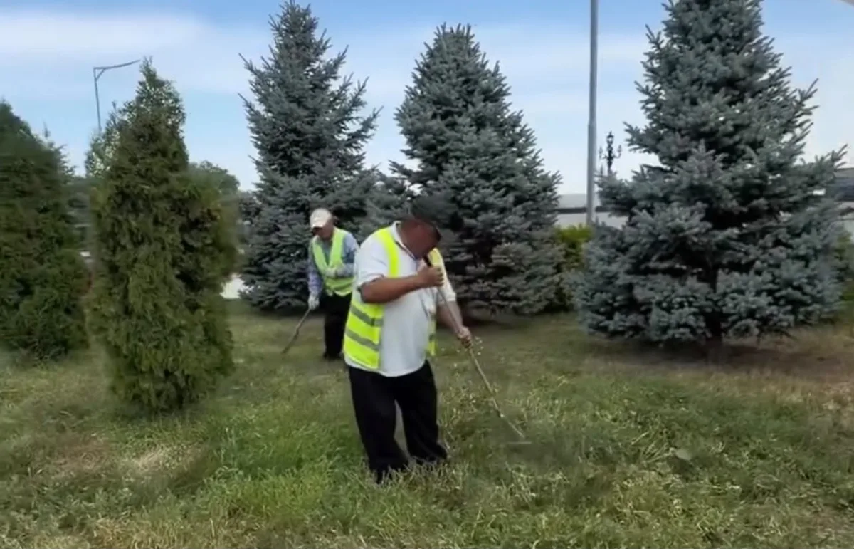 Коммунальные работники поливают деревья и цветы в Талдыкоргане