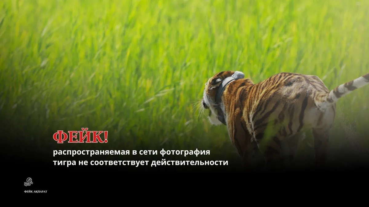 Фотография тигра, созданная искусственным интеллектом, распространялась как реальный снимок из резервата «Иле-Балхаш».