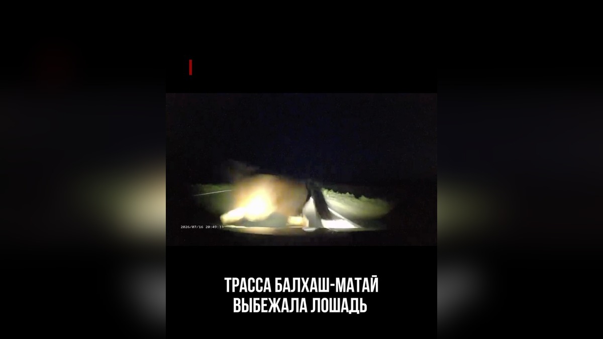 Очевидец сообщил о ДТП с лошадью на трассе Балхаш-Матай