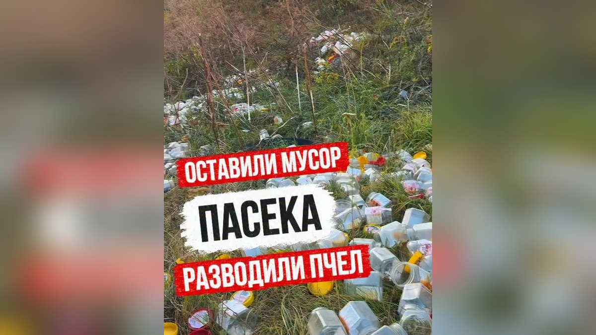 Житель Текели обнаружил горы мусора от пасеки в горах Жетісу
