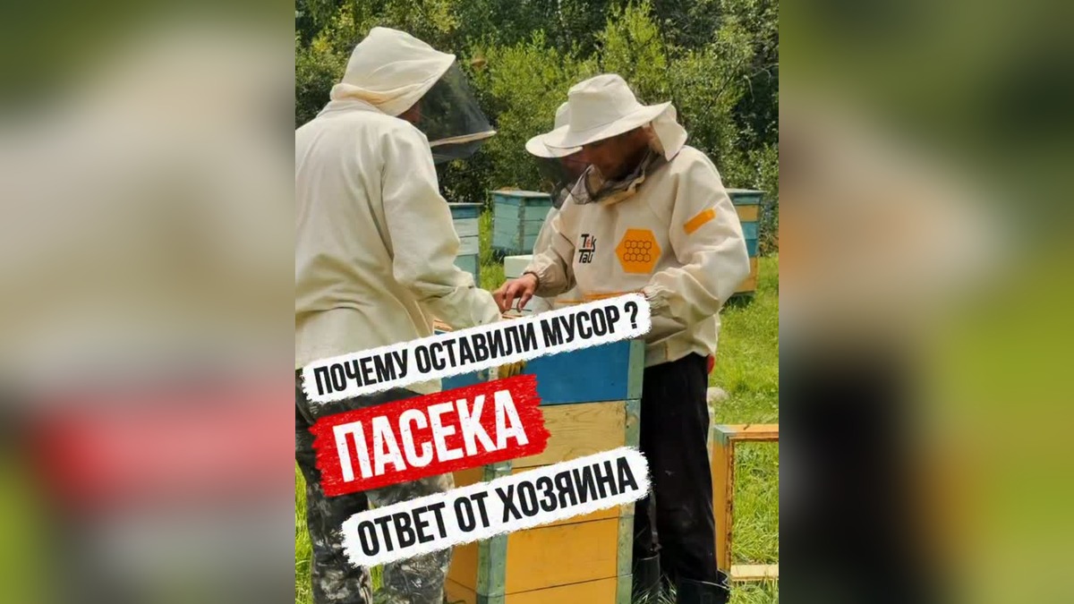 Хозяева пасеки в области Жетісу отреагировали на видео с «мусором» в горах