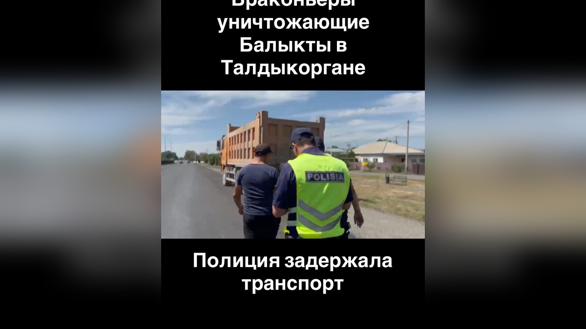 Полиция Жетісу пресекла незаконную добычу ПГС у Талдыкоргана
