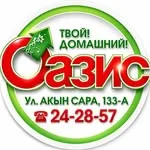 Оазис