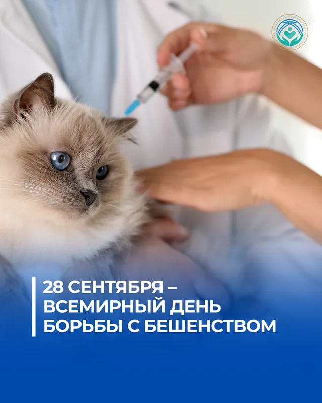 Врачи напоминают о профилактике бешенства, подчеркивая важность своевременной вакцинации и обращения за медицинской помощью.