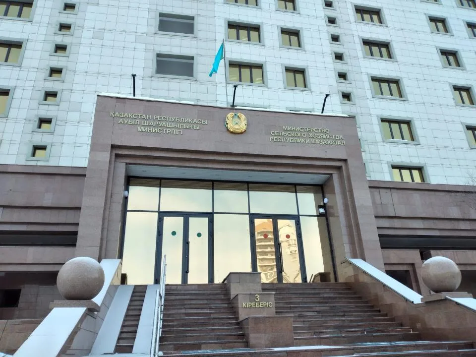 Грузовой поезд перевозит зерно по железнодорожным путям, символизируя импорт пшеницы в Казахстан.