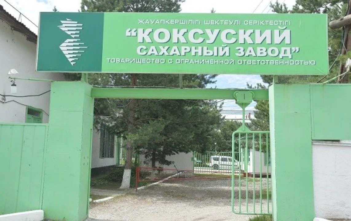 Коксуский сахарный завод в Жетісу увеличивает мощность переработки сахарной свеклы