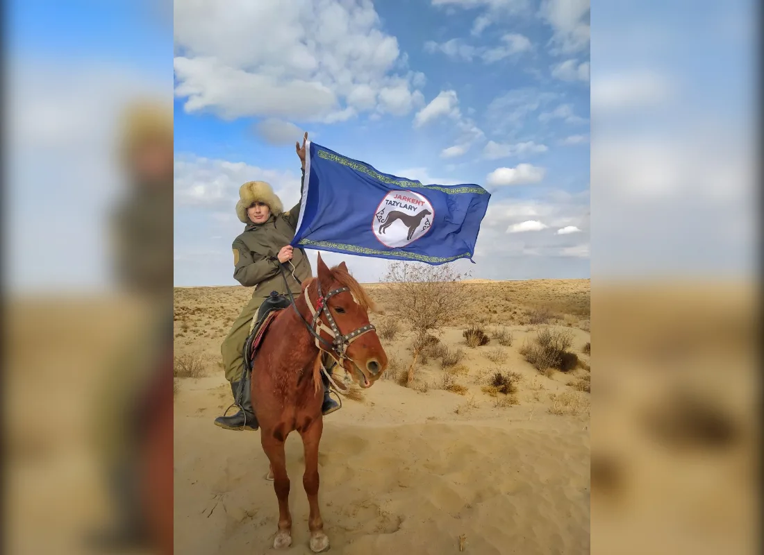 Казахская борзая тазы бежит во время гонок в степи на фоне гор Жетісу