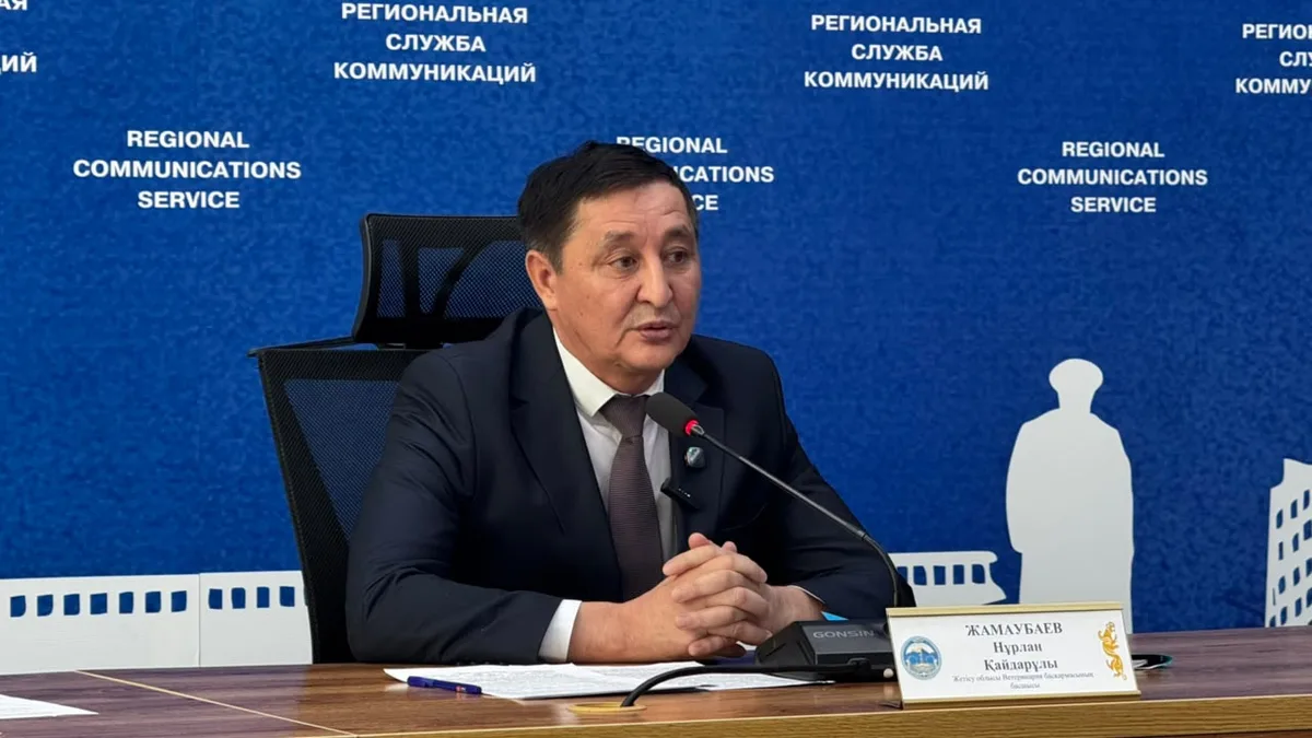 Ветеринар осматривает крупный рогатый скот на ферме в области Жетісу