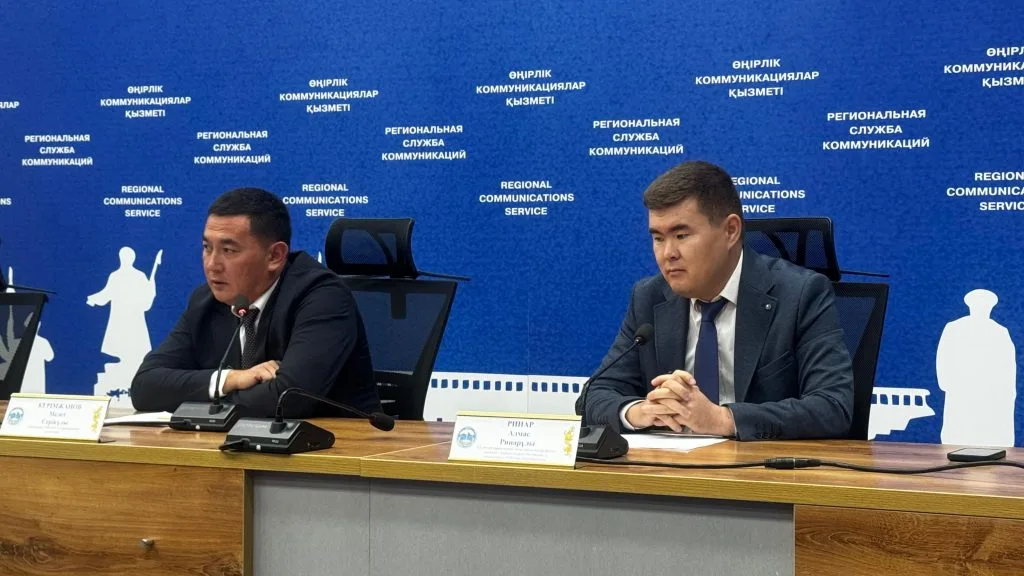 Поле в области Жетісу, орошаемое водой из канала, на фоне гор
