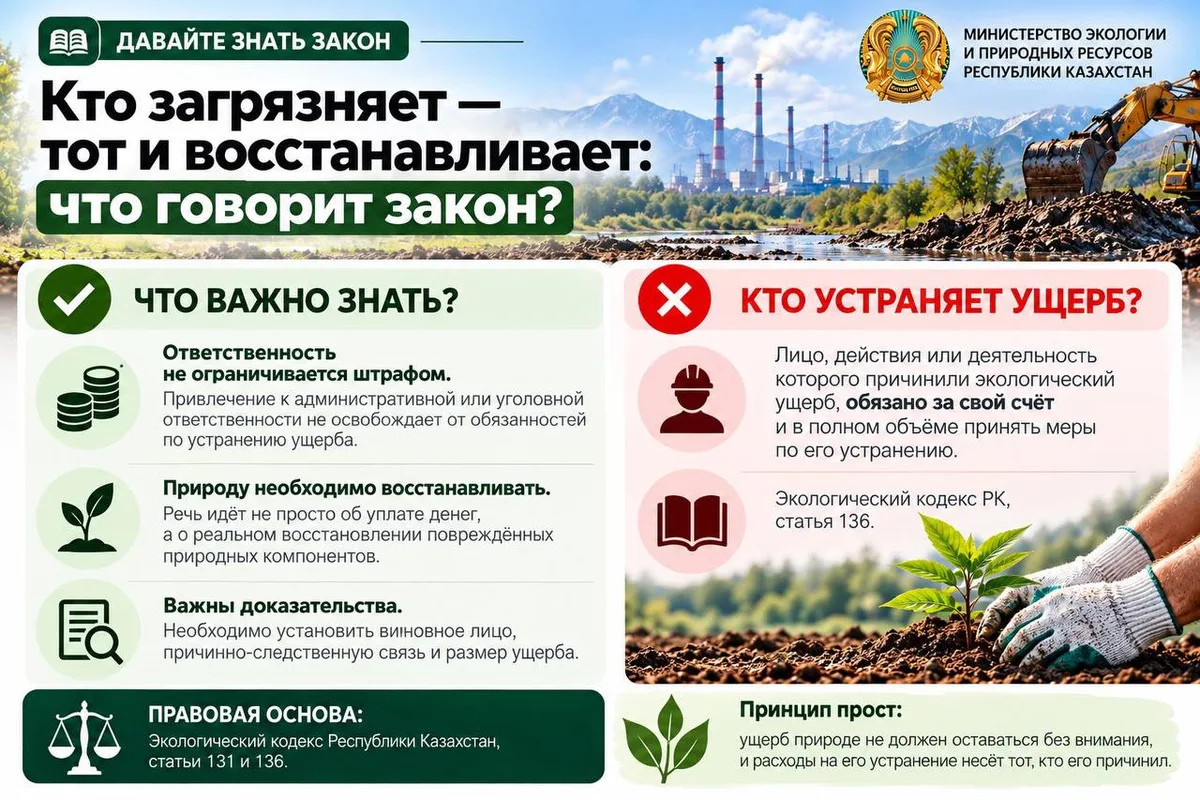 Чистая река или лес, символизирующие нетронутую природу, требующую защиты от загрязнений и восстановления.