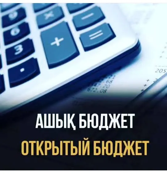 Графики бюджетных расходов города Шымкента, отображающие статьи затрат на жилье, образование и чрезвычайные ситуации.