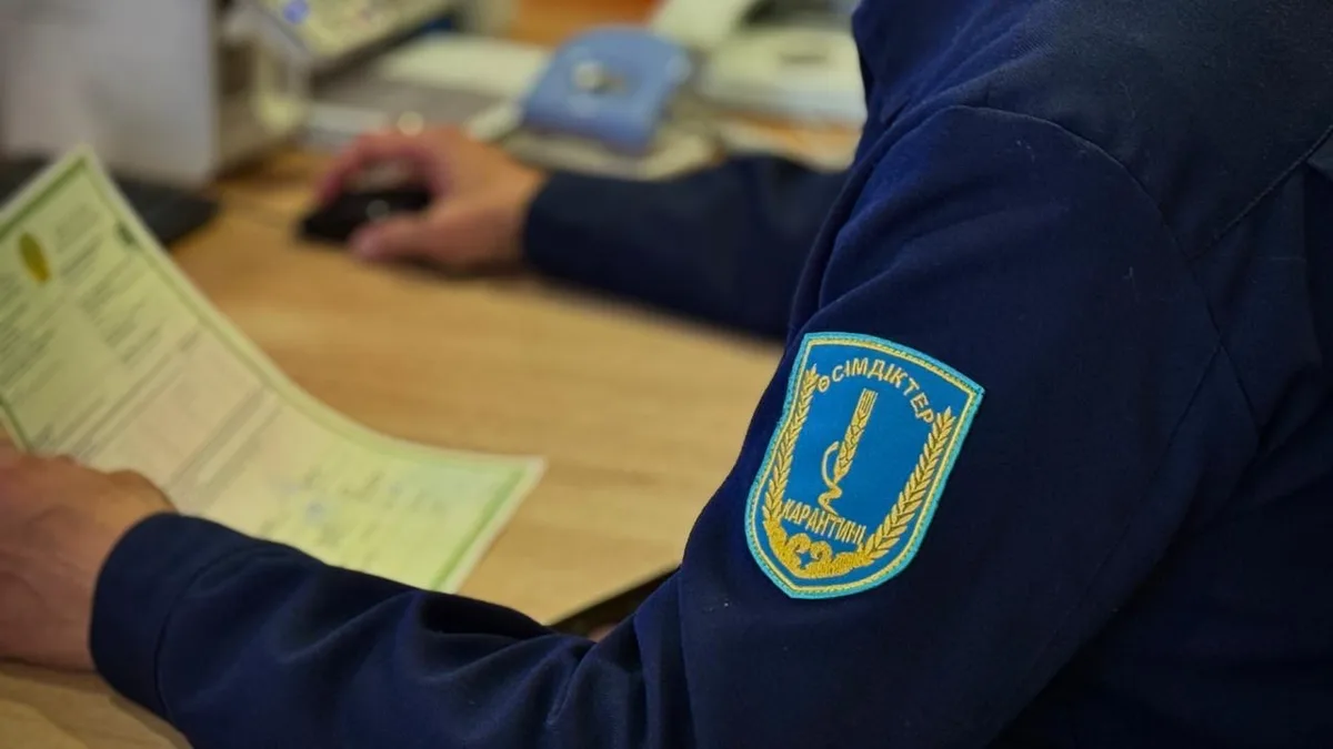 Инспекторы в форме осматривают мешки с зерном или семенами на контрольно-пропускном пункте.