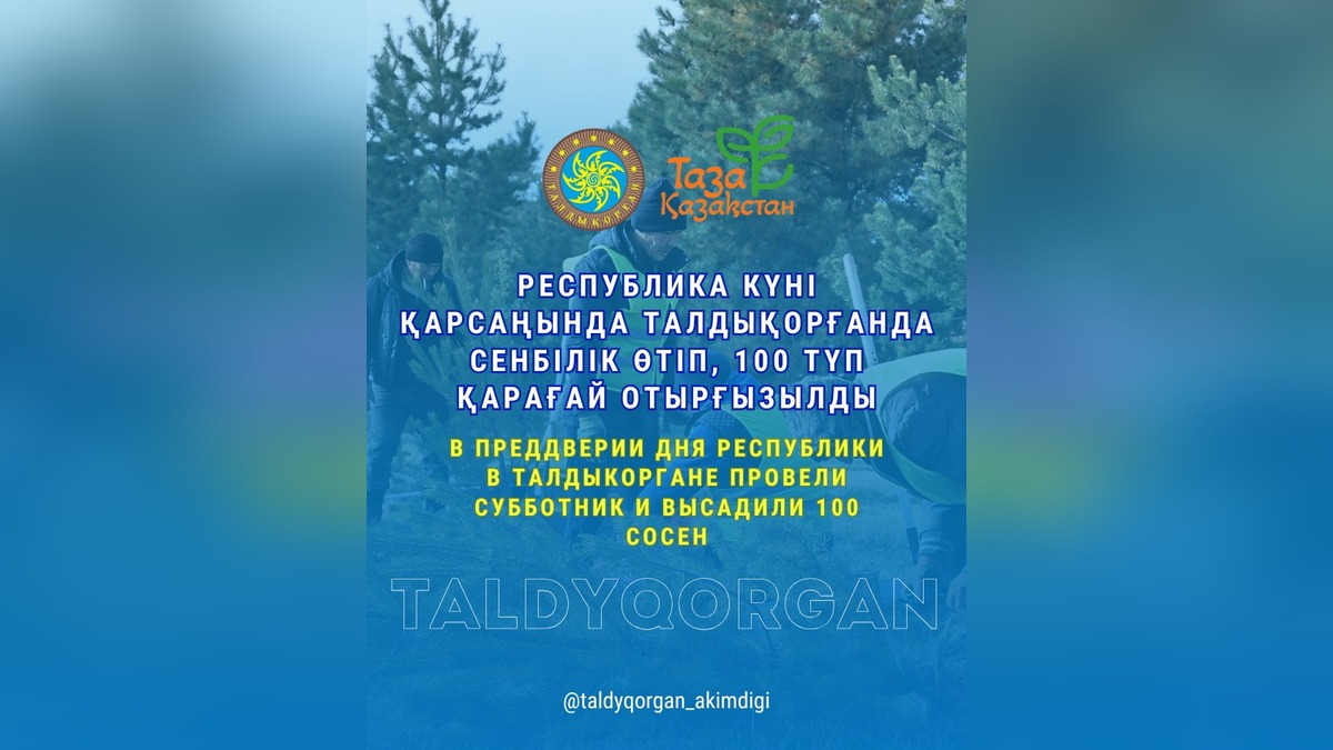 В Талдыкоргане провели масштабный субботник: высадили 100 сосен, собрали 80 тонн мусора
